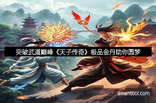 突破武道巅峰《天子传奇》极品金丹助你圆梦